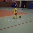 turmikol 31